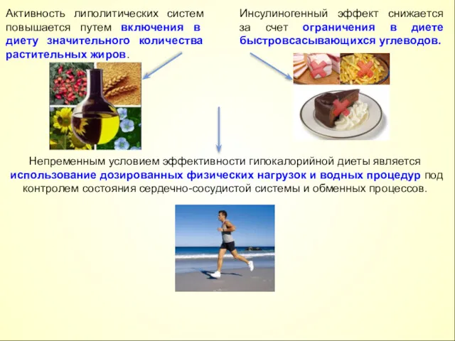 Активность липолитических систем повышается путем включения в диету значительного количества
