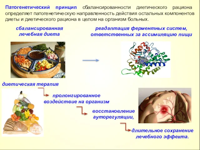 Патогенетический принцип сбалансированности диетического рациона определяет патогенетическую направленность действия остальных