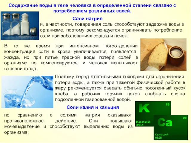 и, в частности, поваренная соль способствуют задержке воды в организме,