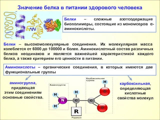 Значение белка в питании здорового человека Белки – сложные азотсодержащие