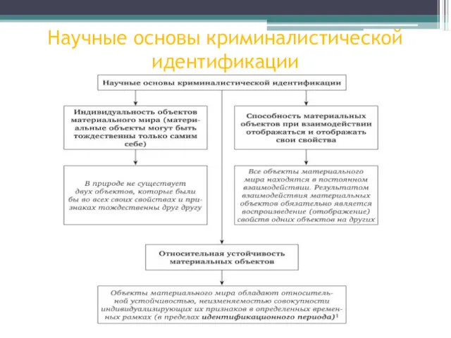 Научные основы криминалистической идентификации