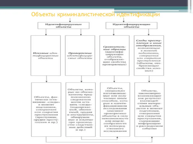 Объекты криминалистической идентификации