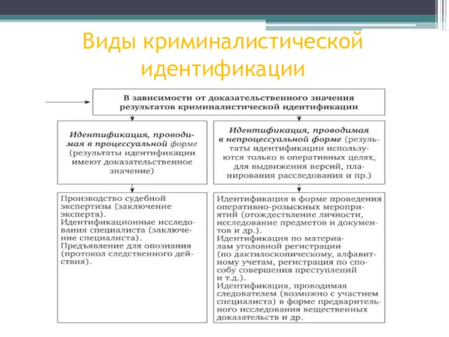 Виды криминалистической идентификации