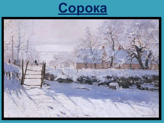 Сорока