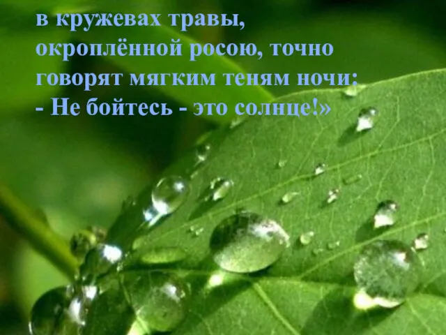 в кружевах травы, окроплённой росою, точно говорят мягким теням ночи: - Не бойтесь - это солнце!»