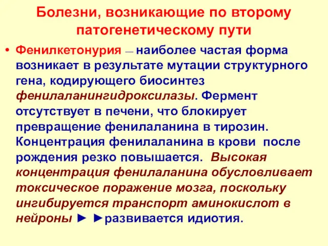 Болезни, возникающие по второму патогенетическому пути Фенилкетонурия — наиболее частая