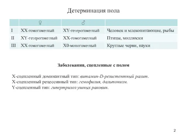 Детерминация пола Заболевания, сцепленные с полом X-сцепленный доминантный тип: витамин-D-резистентный