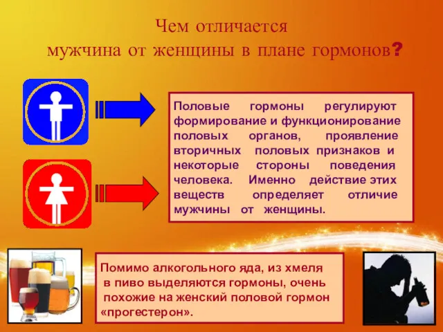 Чем отличается мужчина от женщины в плане гормонов? В крови