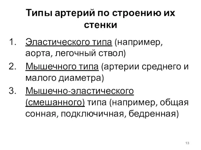 Типы артерий по строению их стенки Эластического типа (например, аорта,