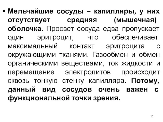 Мельчайшие сосуды – капилляры, у них отсутствует средняя (мышечная) оболочка.