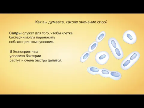 Как вы думаете, каково значение спор? Споры служат для того,