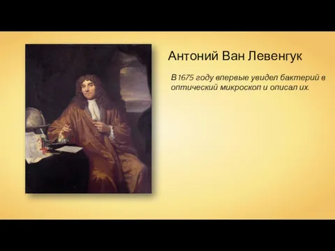 Антоний Ван Левенгук В 1675 году впервые увидел бактерий в оптический микроскоп и описал их.