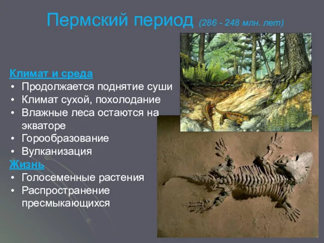 Пермский период (286 - 248 млн. лет) Климат и среда