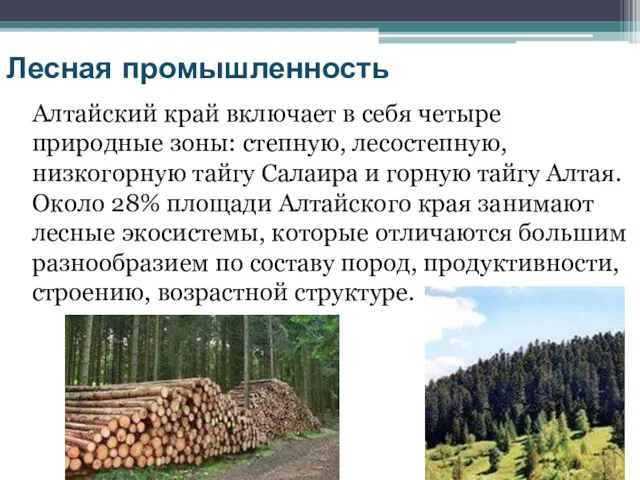 Лесная промышленность Алтайский край включает в себя четыре природные зоны: