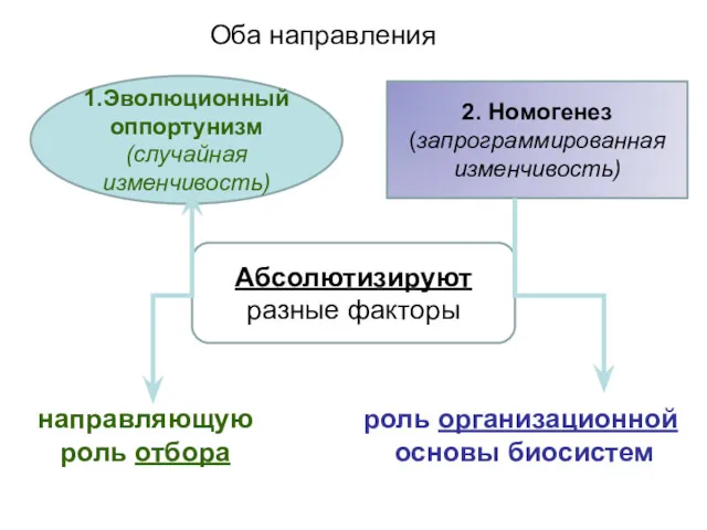 1.Эволюционный оппортунизм (случайная изменчивость) 2. Номогенез (запрограммированная изменчивость) Абсолютизируют разные