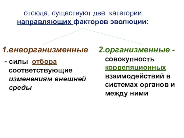 отсюда, существуют две категории направляющих факторов эволюции: 1.внеорганизменные - силы