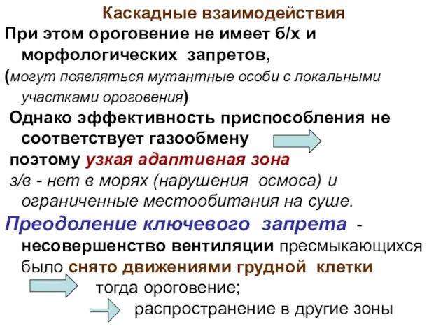 Каскадные взаимодействия При этом ороговение не имеет б/х и морфологических