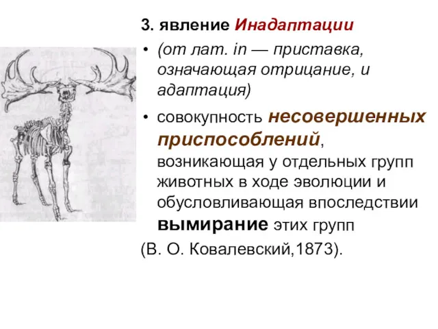 3. явление Инадаптации (от лат. in — приставка, означающая отрицание,