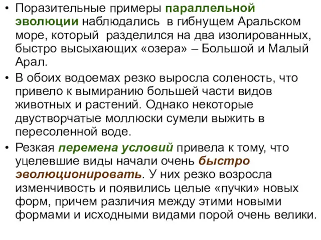 Поразительные примеры параллельной эволюции наблюдались в гибнущем Аральском море, который