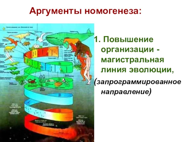 Аргументы номогенеза: 1. Повышение организации - магистральная линия эволюции, (запрограммированное направление)