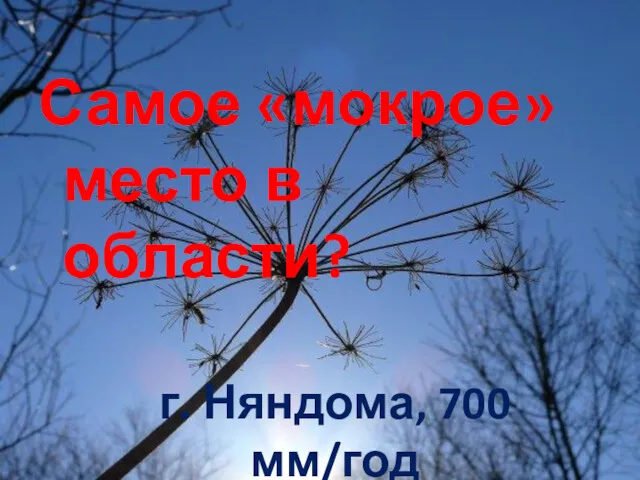 Самое «мокрое» место в области? г. Няндома, 700 мм/год