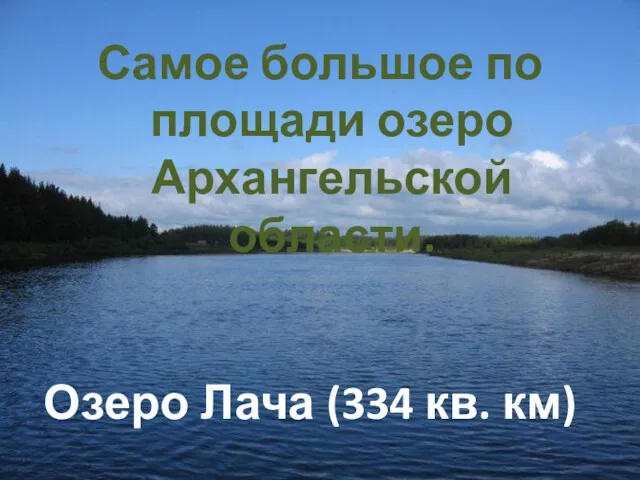 Самое большое по площади озеро Архангельской области. Озеро Лача (334 кв. км)
