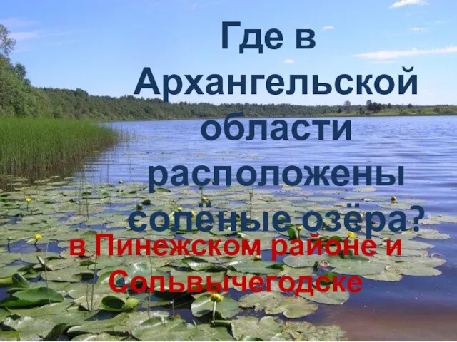 Где в Архангельской области расположены солёные озёра? в Пинежском районе и Сольвычегодске