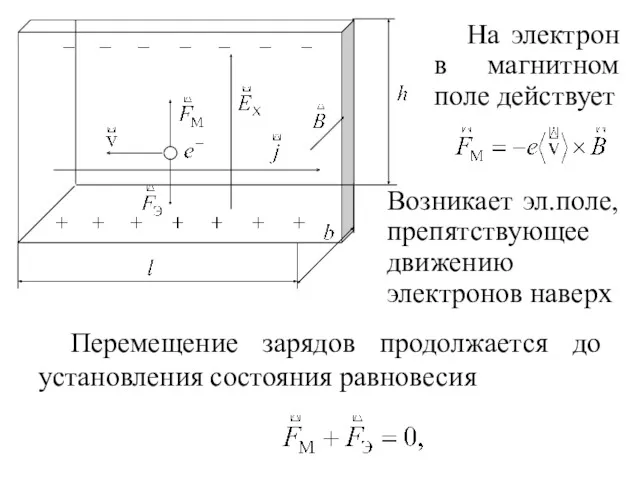 Перемещение зарядов продолжается до установления состояния равновесия На электрон в