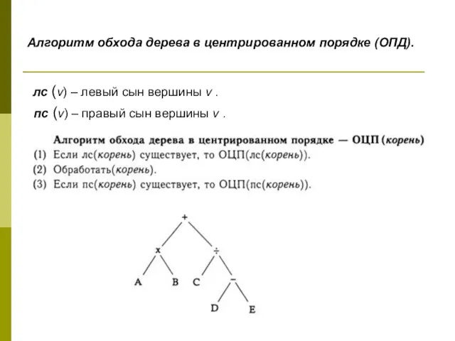 Алгоритм обхода дерева в центрированном порядке (ОПД). лс (v) –