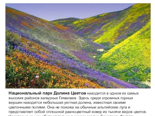 Национальный парк Долина Цветов находится в одном из самых высоких