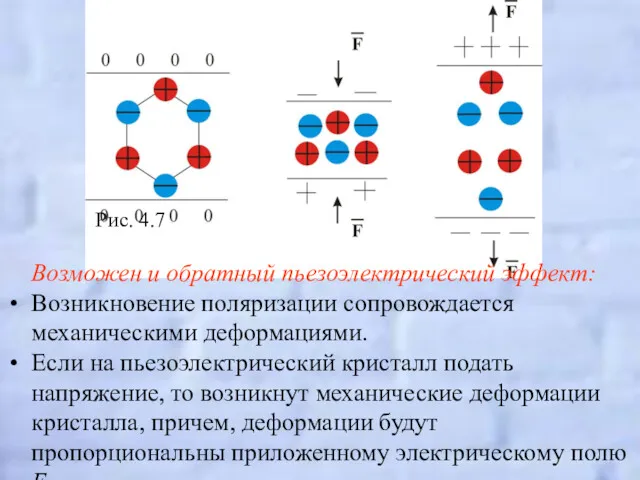 Рис. 4.7 Возможен и обратный пьезоэлектрический эффект: Возникновение поляризации сопровождается