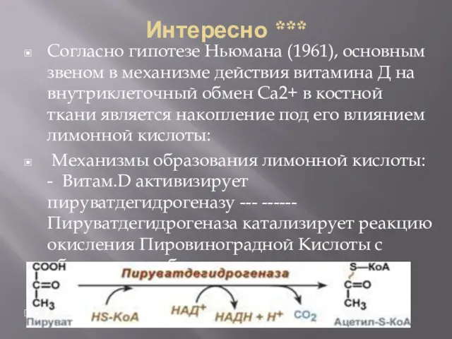 Интересно *** Согласно гипотезе Ньюмана (1961), основным звеном в механизме