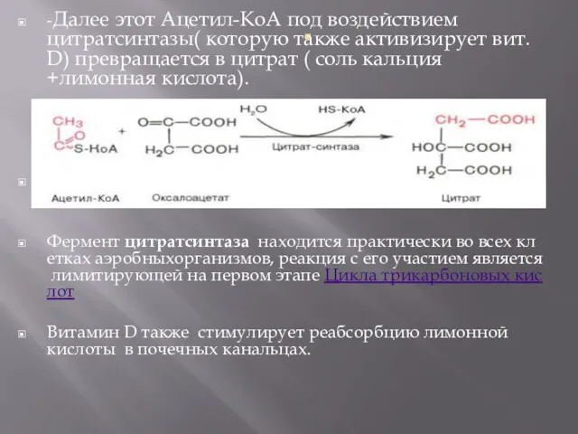 . -Далее этот Ацетил-КоА под воздействием цитратсинтазы( которую также активизирует