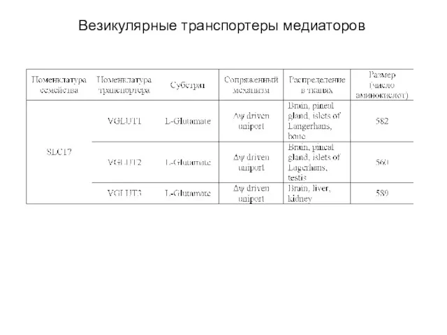 Везикулярные транспортеры медиаторов