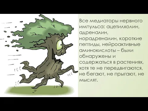 Все медиаторы нервного импульса: ацетилхолин, адреналин, норадреналин, короткие пептиды, нейроактивные