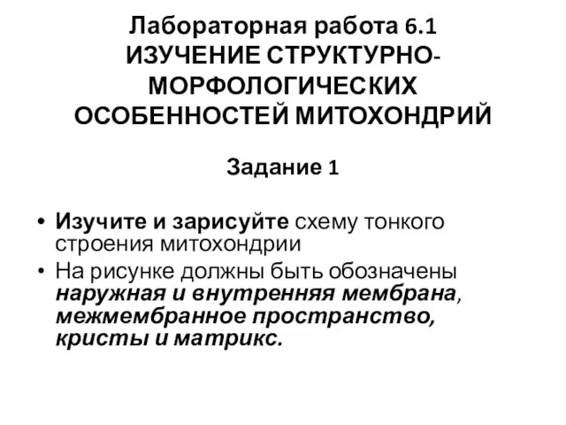 Лабораторная работа 6.1 ИЗУЧЕНИЕ СТРУКТУРНО-МОРФОЛОГИЧЕСКИХ ОСОБЕННОСТЕЙ МИТОХОНДРИЙ Задание 1 Изучите