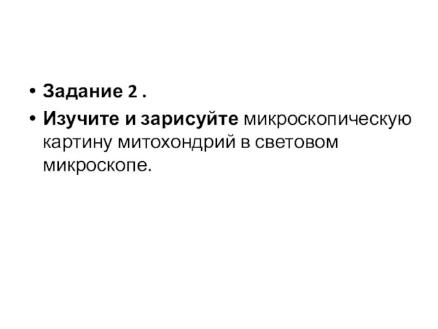 Задание 2 . Изучите и зарисуйте микроскопическую картину митохондрий в световом микроскопе.