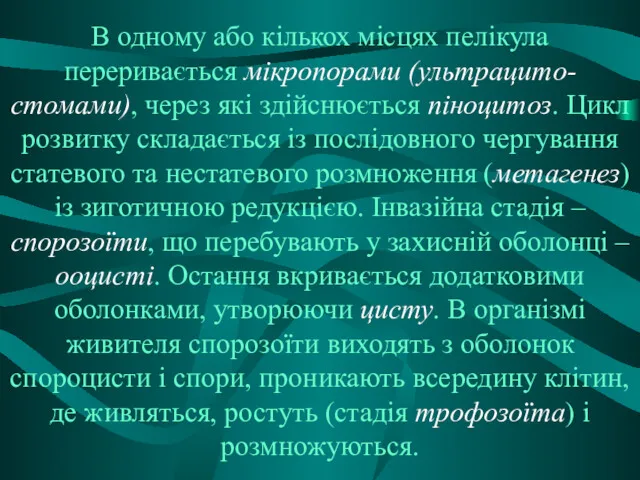 В одному або кількох місцях пелікула переривається мікропорами (ультрацито-стомами), через