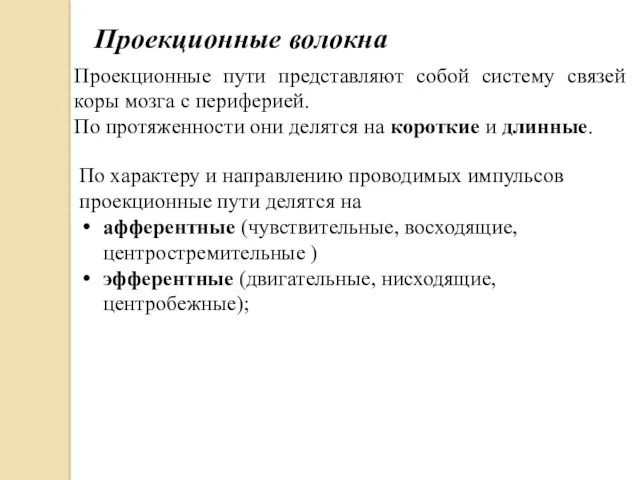 Проекционные волокна Проекционные пути представляют собой систему связей коры мозга