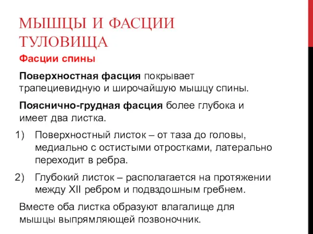 МЫШЦЫ И ФАСЦИИ ТУЛОВИЩА Фасции спины Поверхностная фасция покрывает трапециевидную