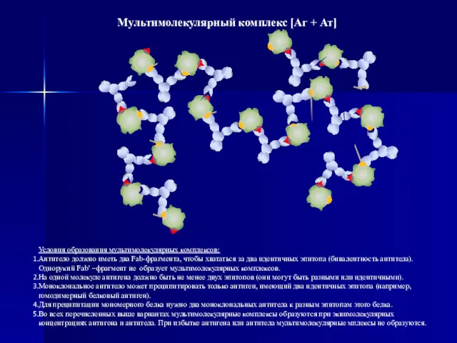 Мультимолекулярный комплекс [Аг + Ат] Условия образования мультимолекулярных комплексов: Антитело