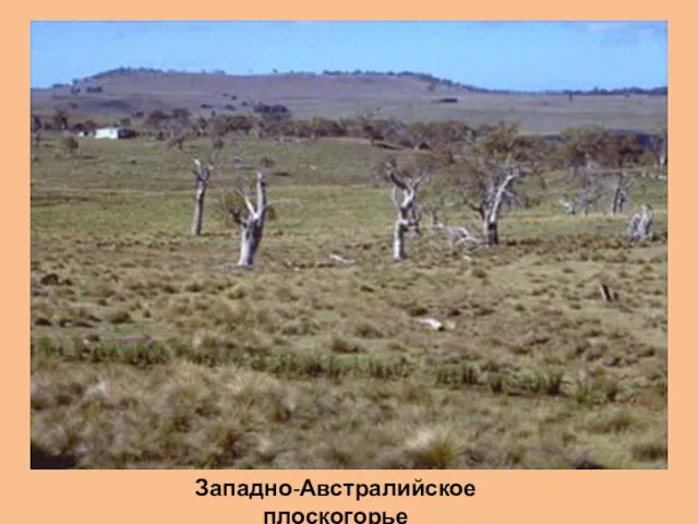 Западно-Австралийское плоскогорье