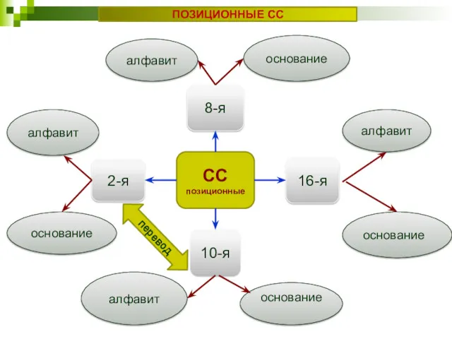 СС позиционные 10-я 2-я основание алфавит основание алфавит алфавит основание