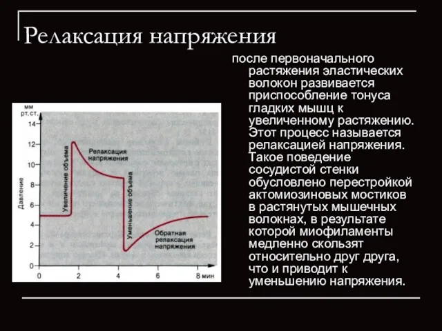 Релаксация напряжения после первоначального растяжения эластических волокон развивается приспособление тонуса