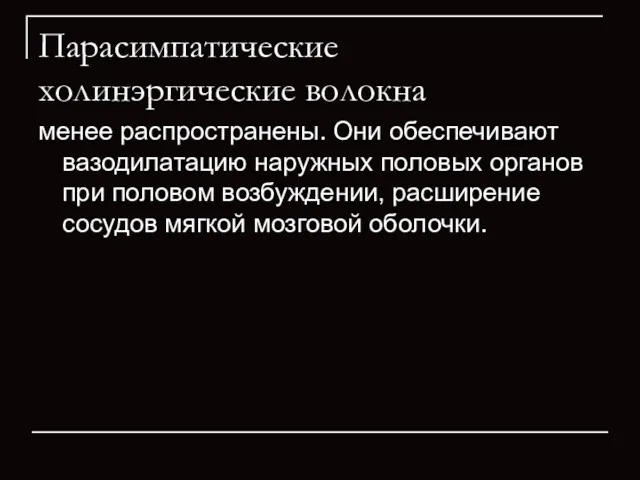 Парасимпатические холинэргические волокна менее распространены. Они обеспечивают вазодилатацию наружных половых органов при половом