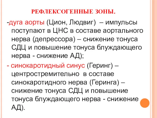 РЕФЛЕКСОГЕННЫЕ ЗОНЫ. -дуга аорты (Цион, Людвиг) – импульсы поступают в