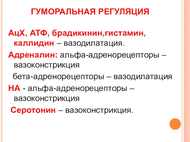 ГУМОРАЛЬНАЯ РЕГУЛЯЦИЯ АцХ, АТФ, брадикинин,гистамин, каллидин – вазодилатация. Адреналин: альфа-адренорецепторы