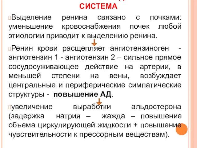 РЕНИН-АНГИОТЕНЗИН-АЛЬДОСТЕРОНОВАЯ СИСТЕМА Выделение ренина связано с почками: уменьшение кровоснабжения почек