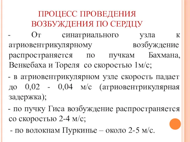 ПРОЦЕСС ПРОВЕДЕНИЯ ВОЗБУЖДЕНИЯ ПО СЕРДЦУ - От синатриального узла к