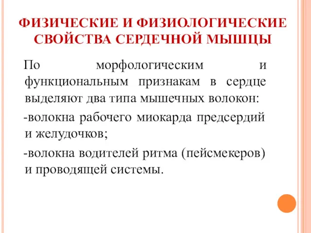 ФИЗИЧЕСКИЕ И ФИЗИОЛОГИЧЕСКИЕ СВОЙСТВА СЕРДЕЧНОЙ МЫШЦЫ По морфологическим и функциональным